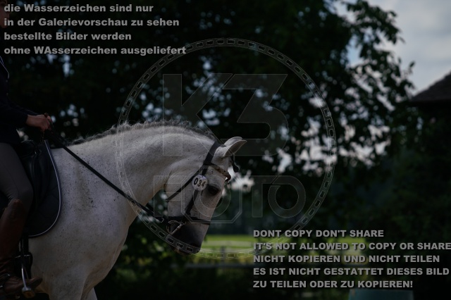 s_K3F04803.JPG